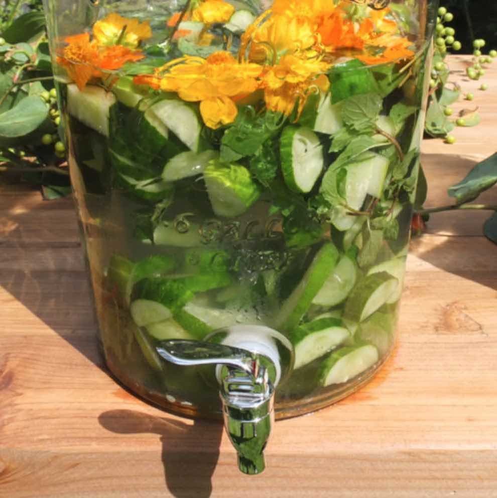 ビバレッジサーバーエリンS